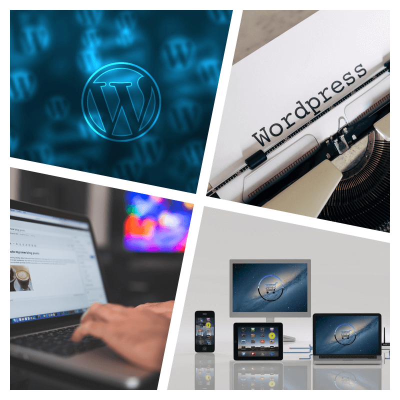 Wordpress website services