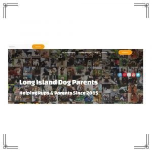 Portfolio Website Long Island Dog Parents